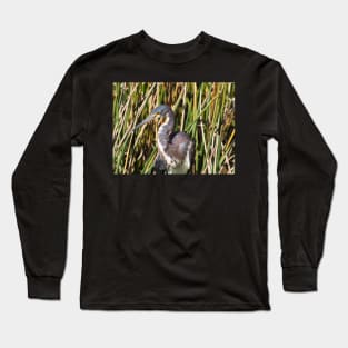 Tricolored Heron in Florida Wetlands Long Sleeve T-Shirt